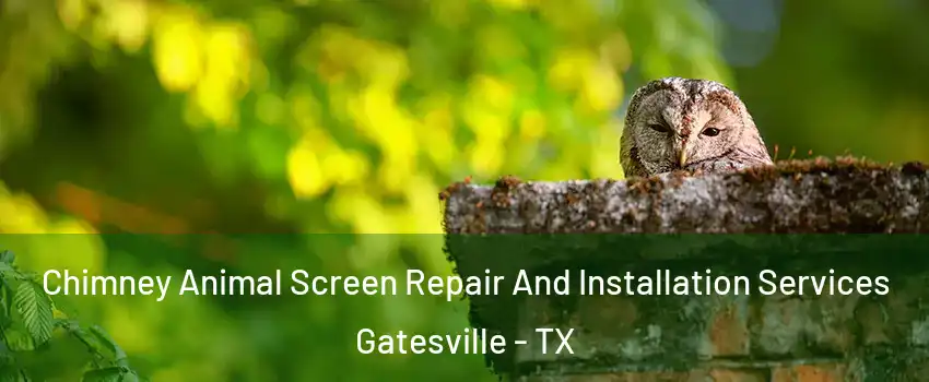  Chimney Animal Screen Repair And Installation Services Gatesville - TX