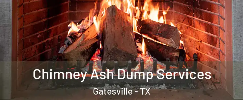  Chimney Ash Dump Services Gatesville - TX