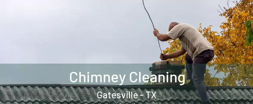  Chimney Cleaning Gatesville - TX