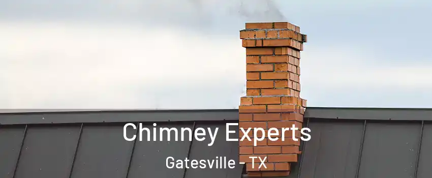  Chimney Experts Gatesville - TX