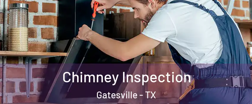  Chimney Inspection Gatesville - TX