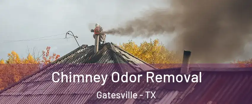  Chimney Odor Removal Gatesville - TX