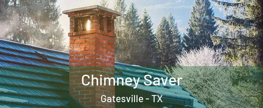 Chimney Saver Gatesville - TX
