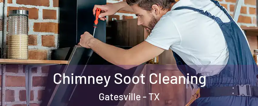  Chimney Soot Cleaning Gatesville - TX