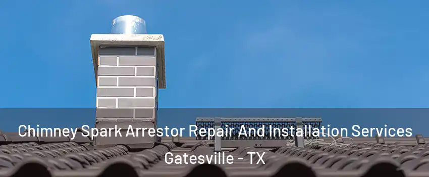  Chimney Spark Arrestor Repair And Installation Services Gatesville - TX