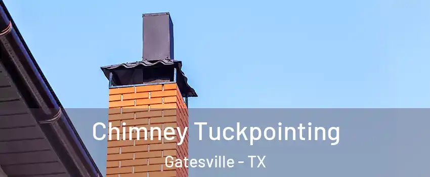  Chimney Tuckpointing Gatesville - TX