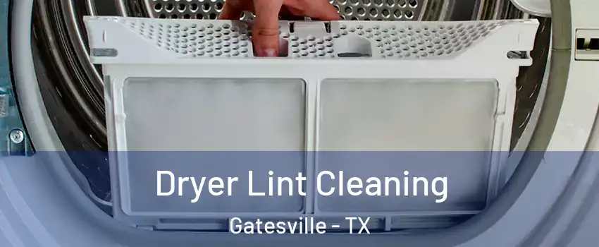  Dryer Lint Cleaning Gatesville - TX