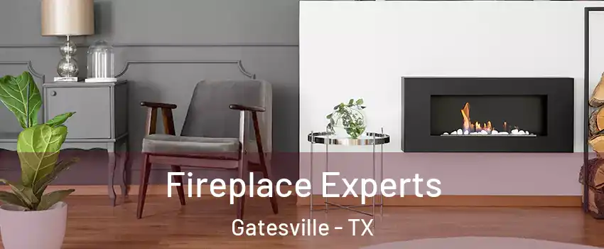  Fireplace Experts Gatesville - TX