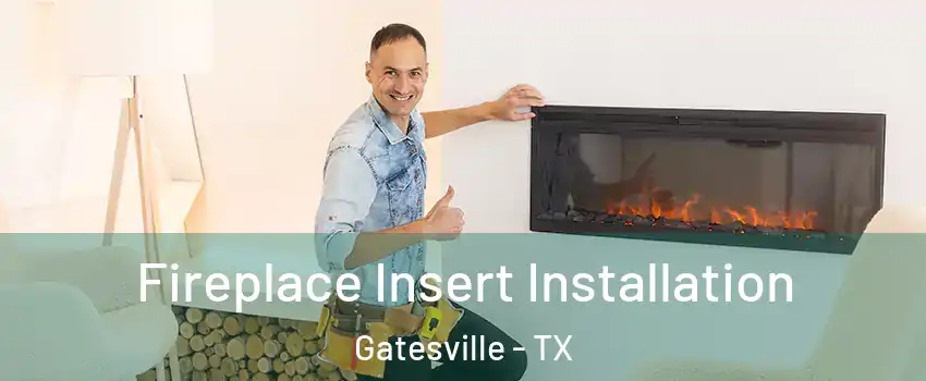  Fireplace Insert Installation Gatesville - TX