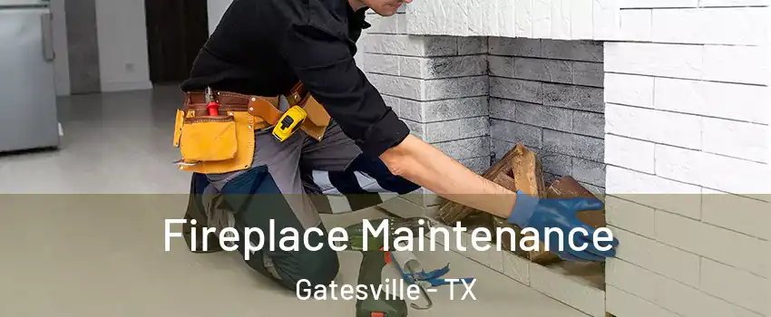  Fireplace Maintenance Gatesville - TX