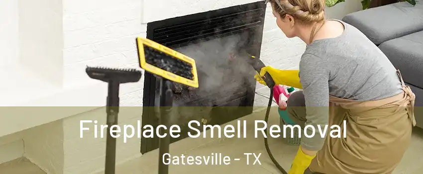  Fireplace Smell Removal Gatesville - TX