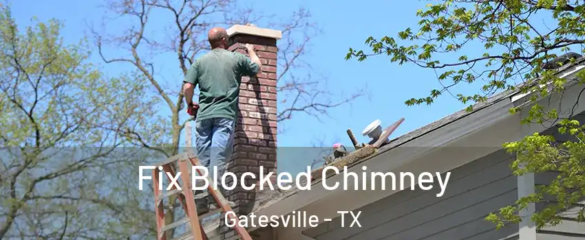  Fix Blocked Chimney Gatesville - TX