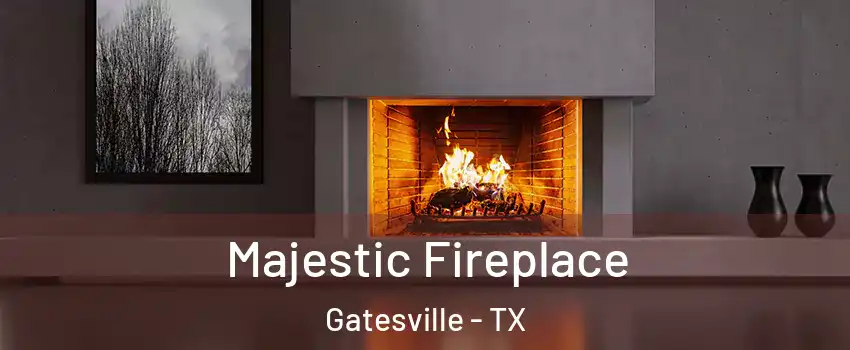  Majestic Fireplace Gatesville - TX
