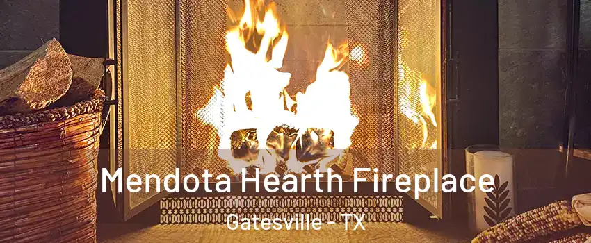  Mendota Hearth Fireplace Gatesville - TX