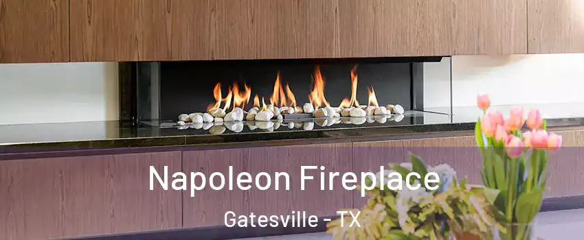  Napoleon Fireplace Gatesville - TX