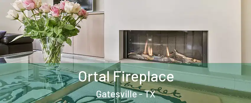  Ortal Fireplace Gatesville - TX