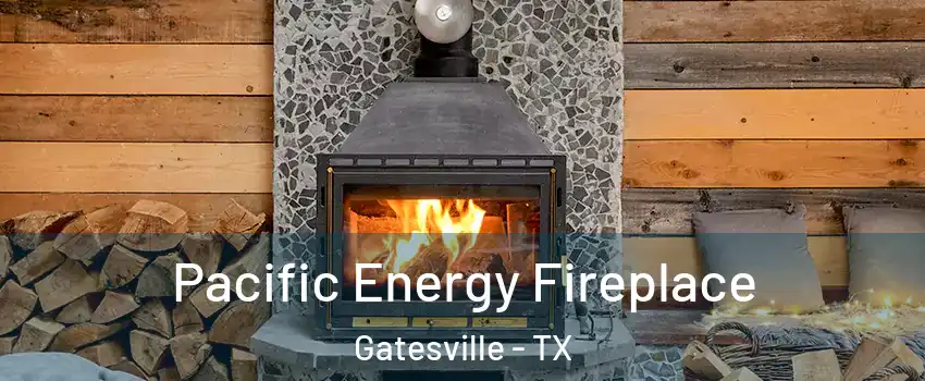  Pacific Energy Fireplace Gatesville - TX